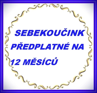 SEBEKOUČINK NA 12 MĚSÍCŮ